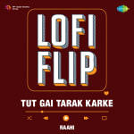 Tut Gai Tarak Karke LoFi Flip