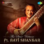 The Sitar Virtuoso Pt. Ravi Shankar