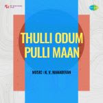 Thulli Odum Pulli Maan
