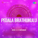 Pedala Brathukulu