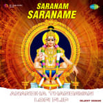 Saranam Saraname - Anandha Thandavan Lofi Flip