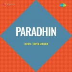 Paradhin