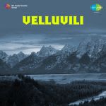 Velluvili