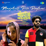 Manjuthulli Pole - Mr. Hacker