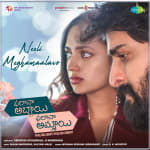 Neeli Meghamaalavo - Phalana Abbayi Phalana Ammayi