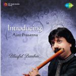 Introducing Ajay Prasanna - Blissful Bamboo