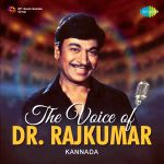 The Voice of Dr. Rajkumar