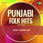 Punjabi Folk Hits Vol-4