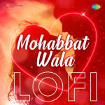 Mohabbat Wala Lofi