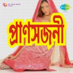 Pransajani