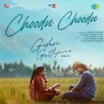 Choodu Choodu (Side B) - Godari Gattupaina