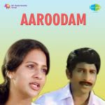 Aaroodam