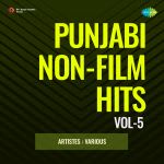 Punjabi Non-Film Hits Vol-5
