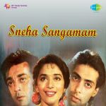 Sneha Sangamam