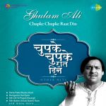 Chupke Chupke Raat Din And Other Hits