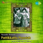 Pattikkattu Ponniah