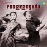 Poola Rangadu