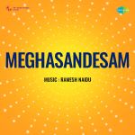 Meghasandesam