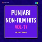 Punjabi Non-Film Hits Vol-17