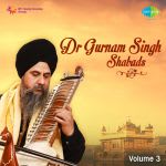 Dr Gurnam Singh - Shabads - Vol 3