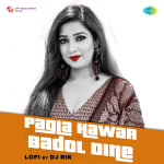 Pagla Hawar Badol Dine - LoFi
