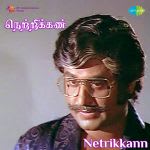 Nettrikkan
