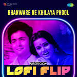 Bhanware Ne Khilaya Phool (Lofi Flip)