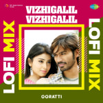 Vizhigalil Vizhigalil - Lofi Mix