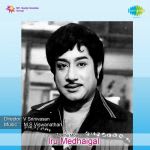Iru Medhaigal