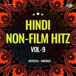 Hindi Non-Film Hitz Vol-9