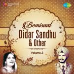 Bemisaal Didar Sandhu And Other - Volume 2