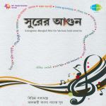 Surer Agun Evergreen Bengali Hits Of Instruments