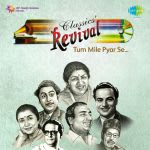 Revival Vol.2 Tum Mile Pyar Se