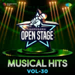 Open Stage Musical Hits - Vol 30