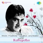 Kattupothu