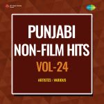 Punjabi Non-Film Hits Vol-24