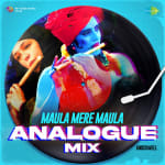 Maula Mere Maula - Analogue Mix