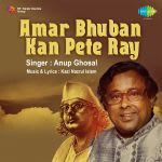 Amar Bhuban Kan Pete Ray