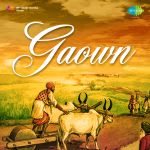 Gaown