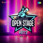 Open Stage Hits - Vol 58