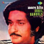 More Hits Sunil Ganguly