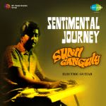 Sentimental Journey - Sunil Ganguly