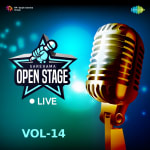 Open Stage Live - Vol 14
