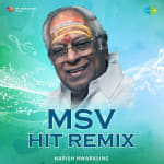 MSV Hit Remix