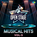 Open Stage Musical Hits - Vol 5