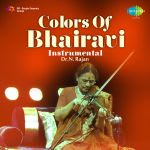 Colors Of Bhairavi - Instrumental