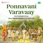 Ponnavani Varavaay - Instrumental