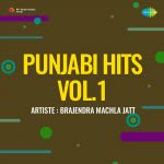 Punjabi Hits Vol.1