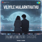 Viliyile Malarnthathu - Reverb Mix