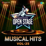 Open Stage Musical Hits - Vol 25